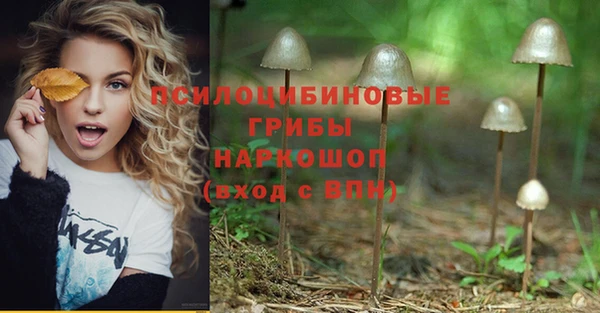 бошки Семилуки