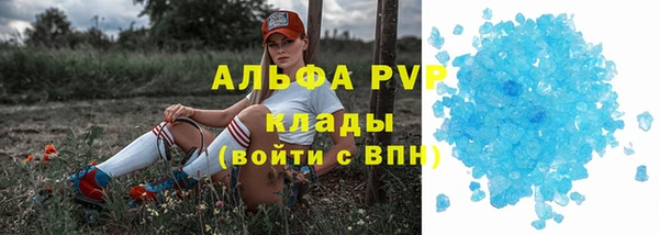 a pvp Богданович